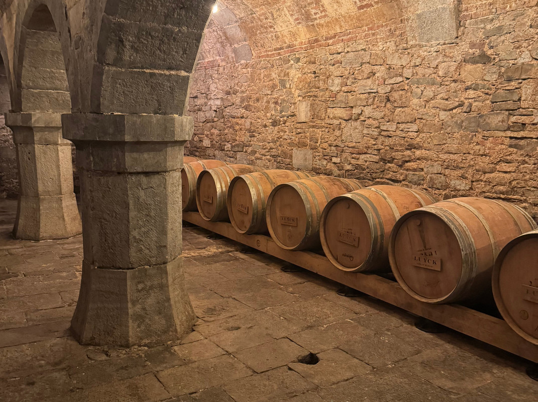 Luyck Urban Winery-列日必去景点