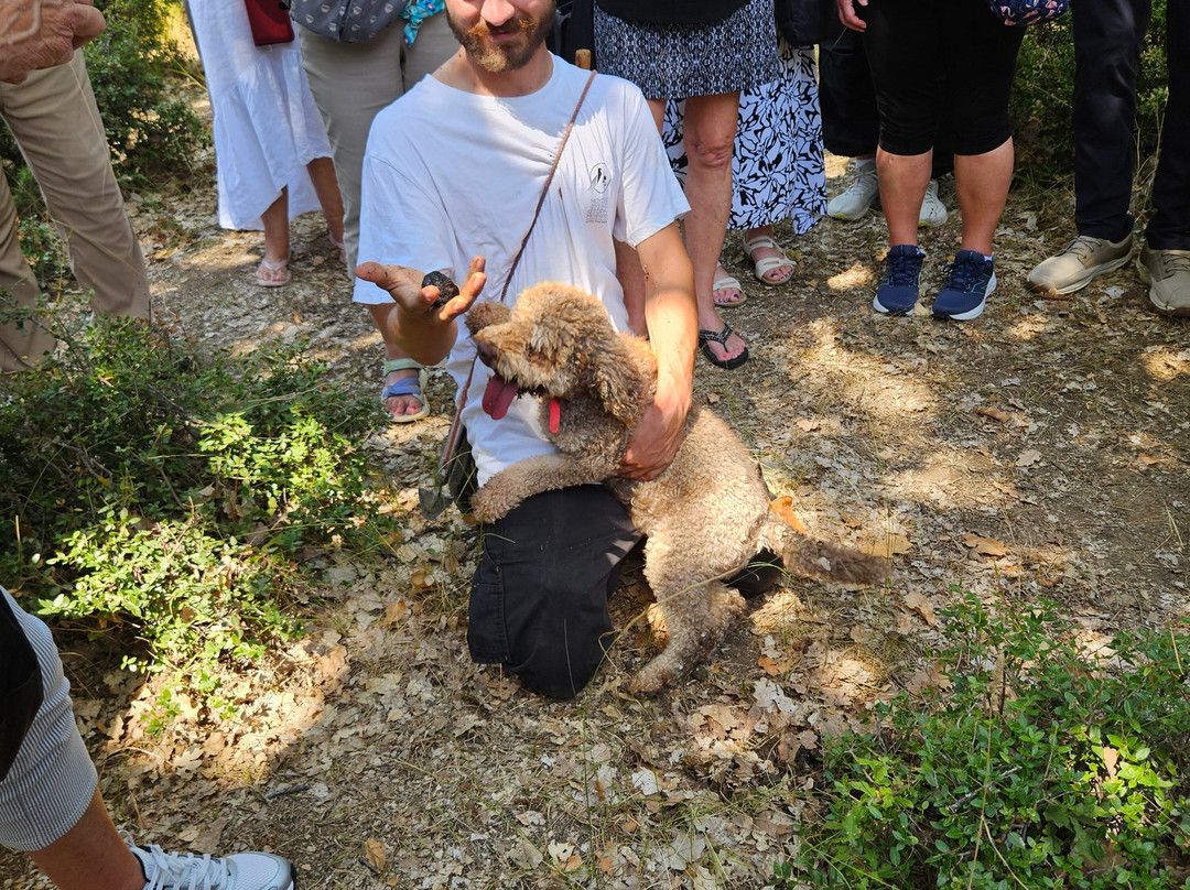 Truffle Hunting-卡兰巴卡必去景点