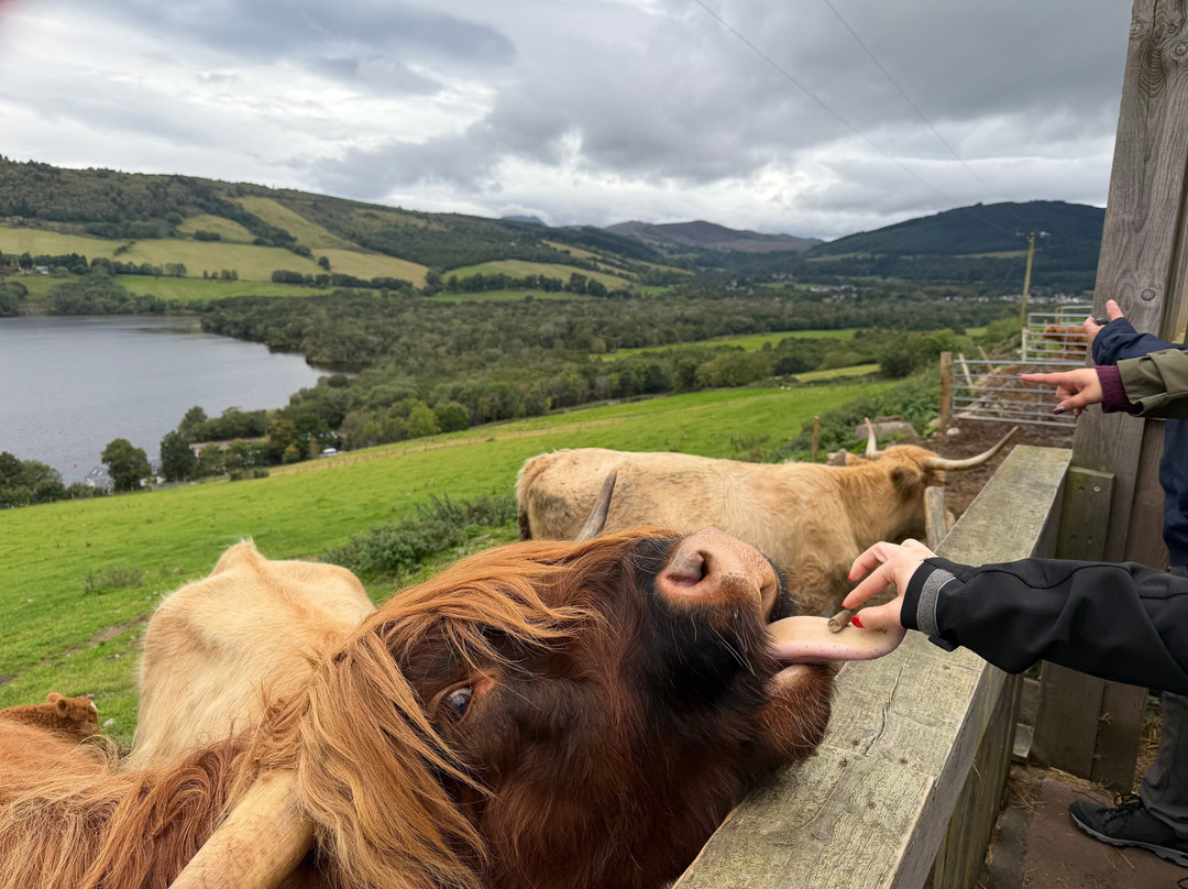 Loch Ness Hub & Travel-德拉姆纳德罗希特必去景点