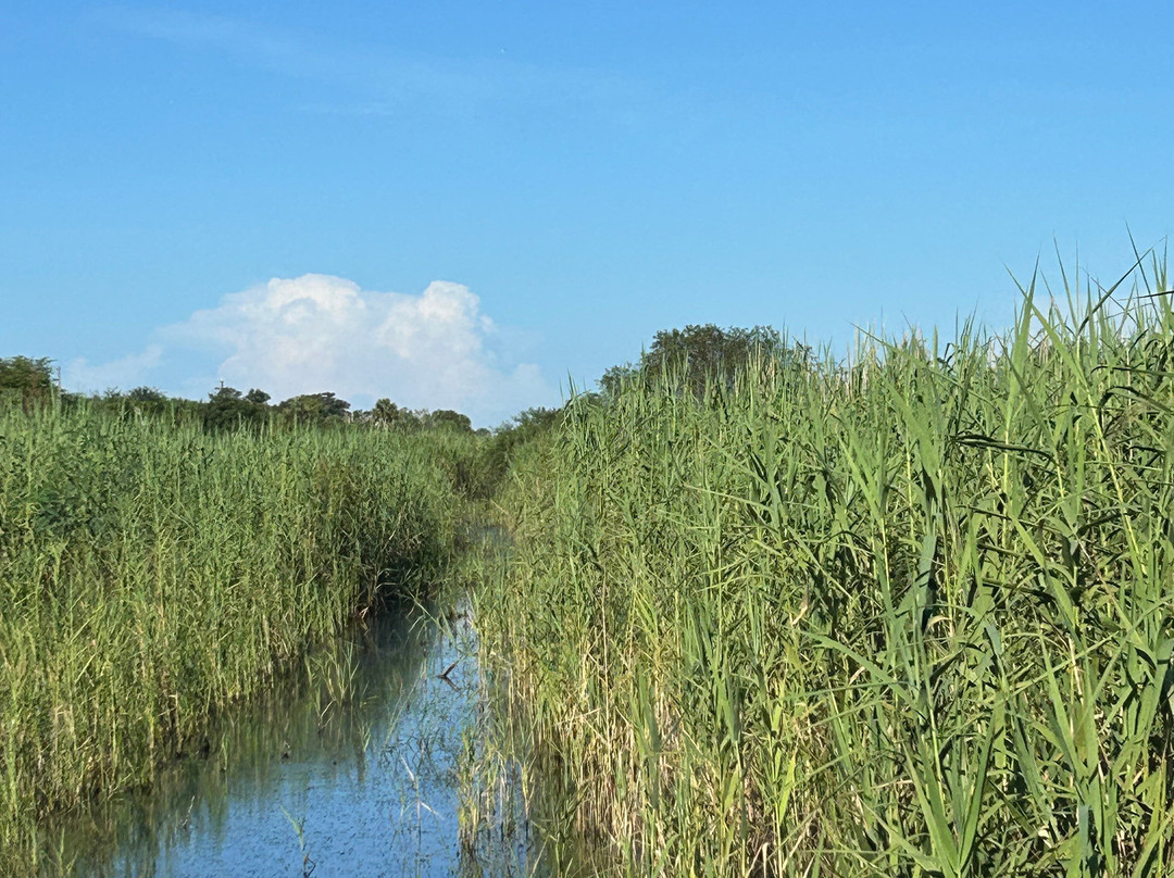 AirBoat Rides at Midway-Christmas必去景点