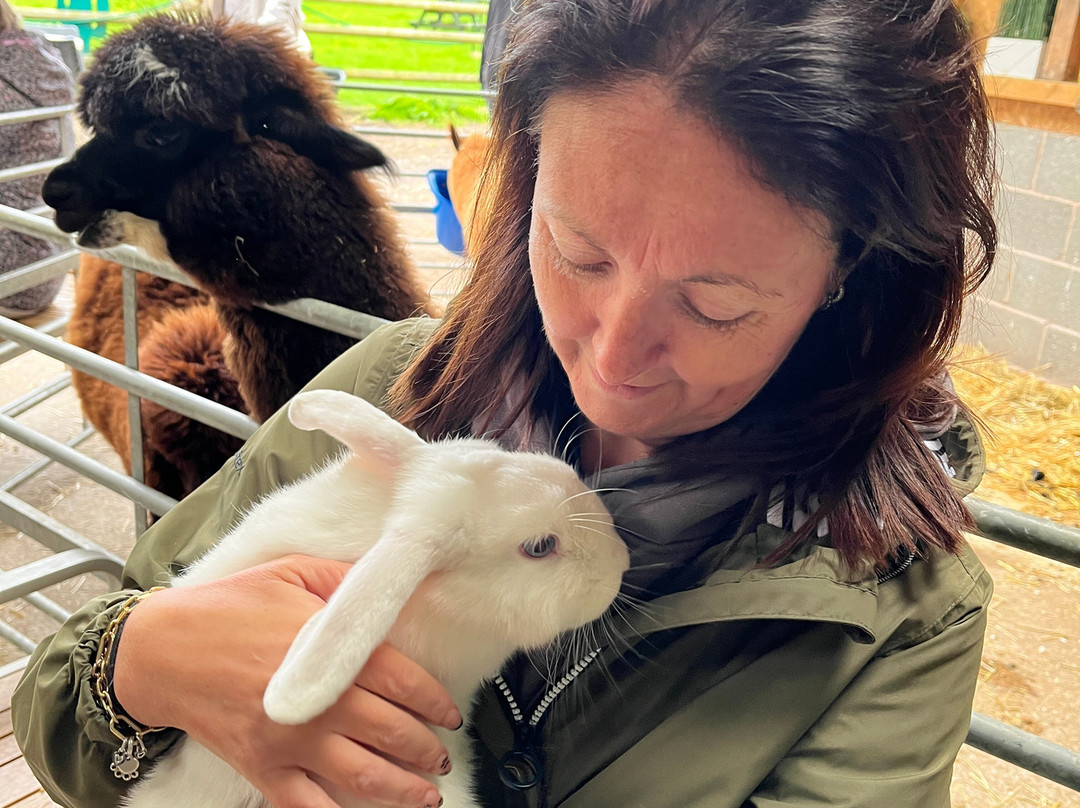 Woodlands Alpaca Farm-沃灵顿必去景点