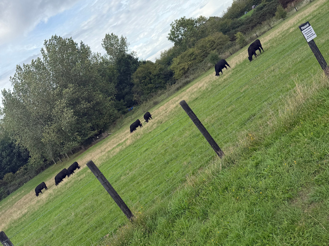 Church Farm Ardeley-斯蒂夫尼奇必去景点