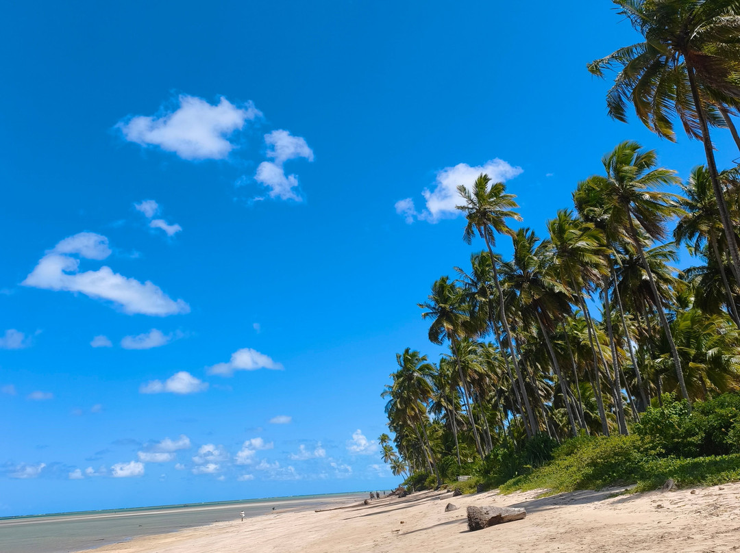 Porto do Sol Maragogi-Maragogi必去景点