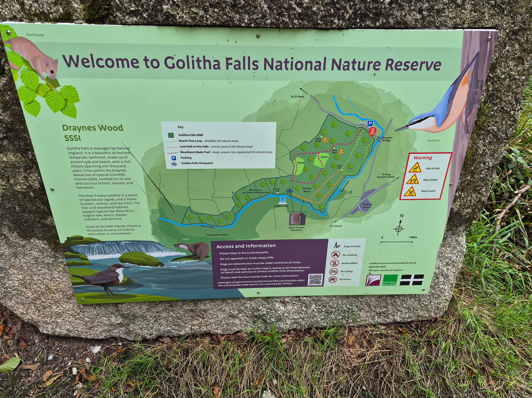 Golitha Falls-利斯卡德必去景点
