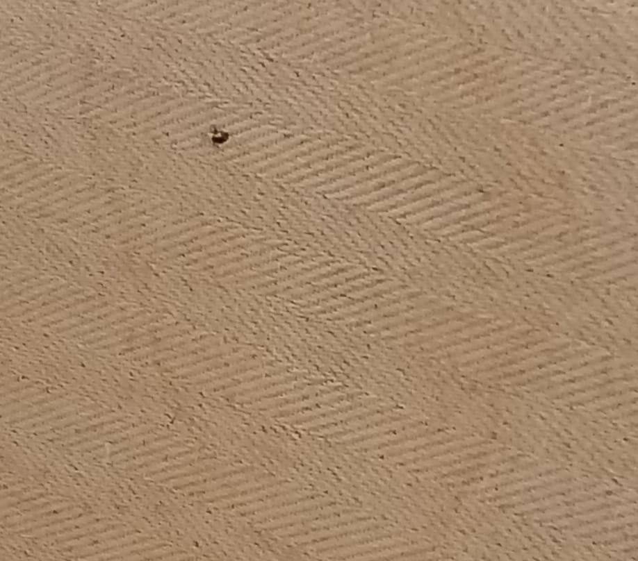 Brown Beach 埃维亚岛, Brown Hotels 成员主图