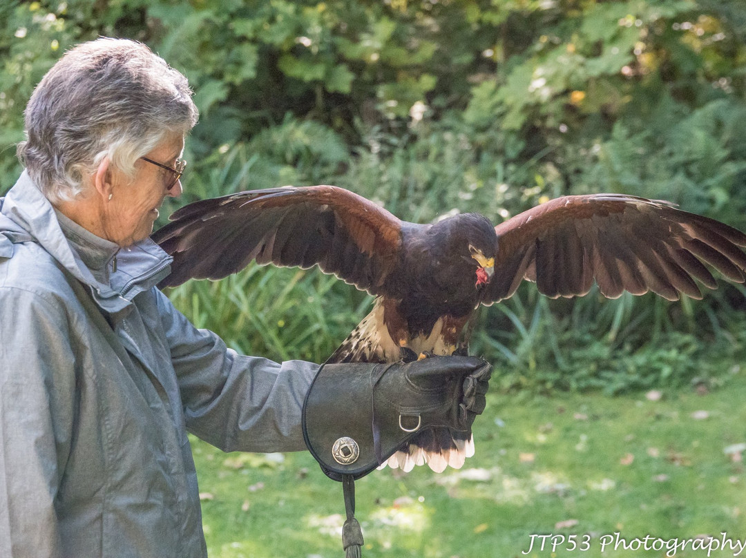 Loch Lomond Bird Of Prey Centre-Balloch必去景点