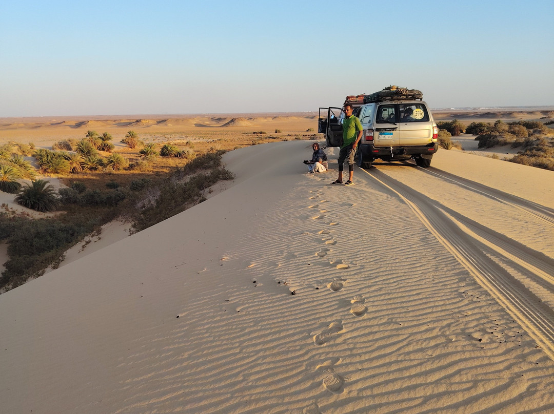 Bahariya Oasis Desert-Bahariya Oasis必去景点