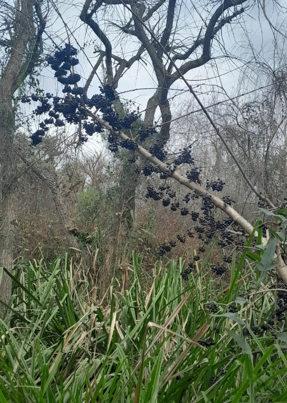 Reserva Natural Monte Blanco-蒂格雷必去景点
