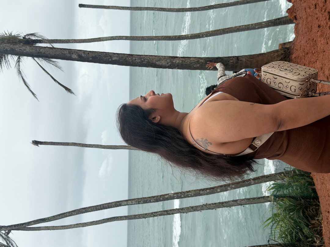Coconut Tree Hill-美蕊沙必去景点