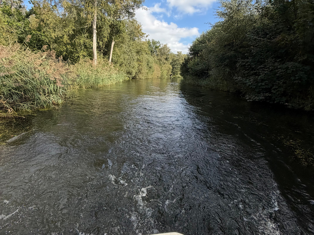 Richardsons Boating Holidays-Stalham必去景点