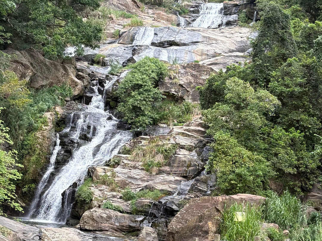 Lanka Classy Tours-凯拉尼亚必去景点