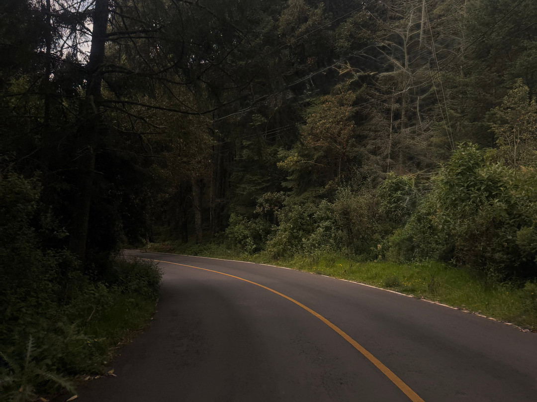 El Chico National Park-Pluma Hidalgo必去景点