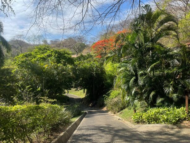 哥斯达黎加秘密帕帕加成人温泉度假村-旅行者