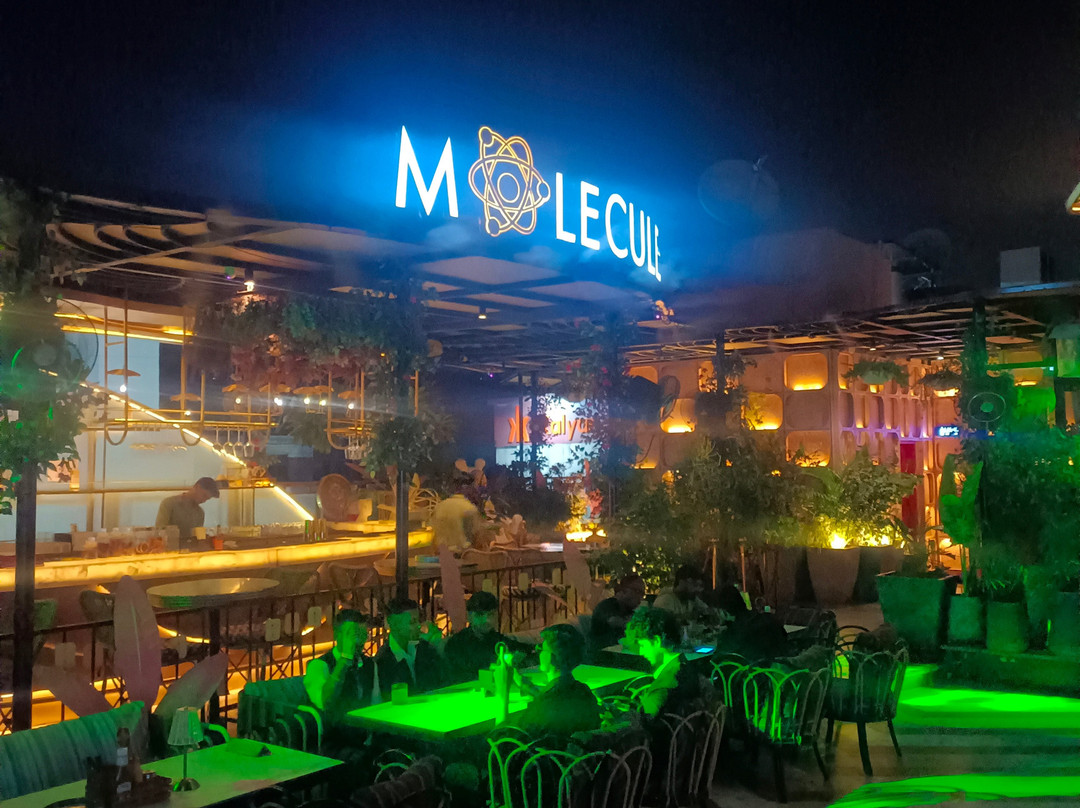 Molecule Gwalior