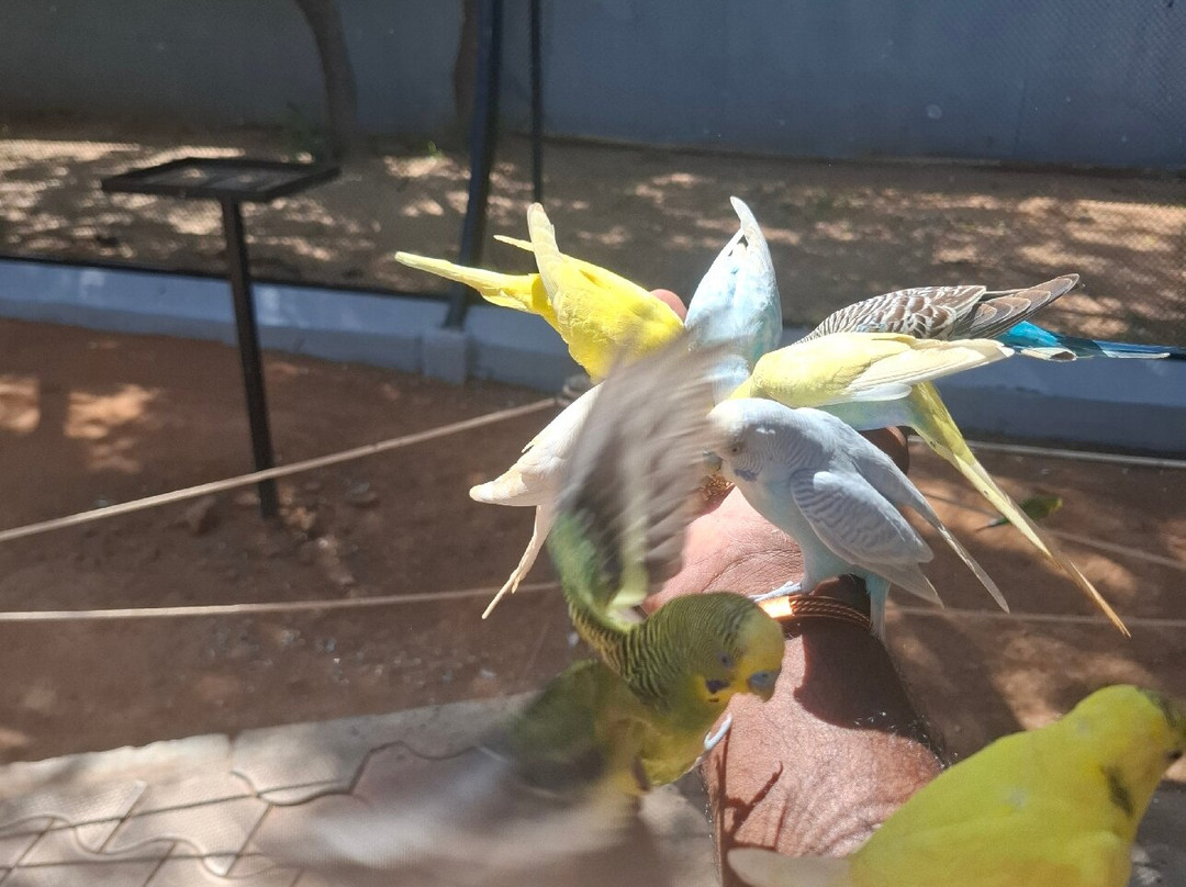 Rajali Birds Park