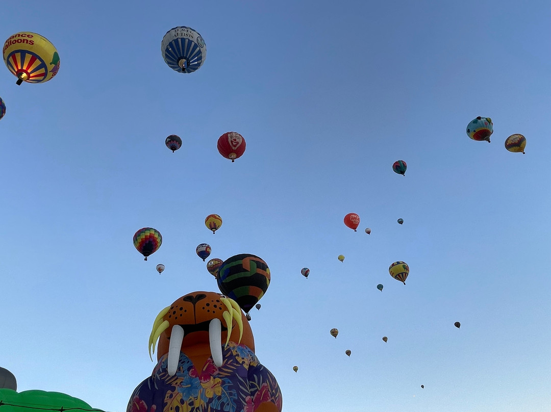 Anderson-Abruzzo International Balloon Museum-阿尔伯克基必去景点