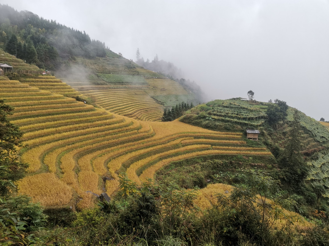 Guilin PrivateTours-桂林市必去景点