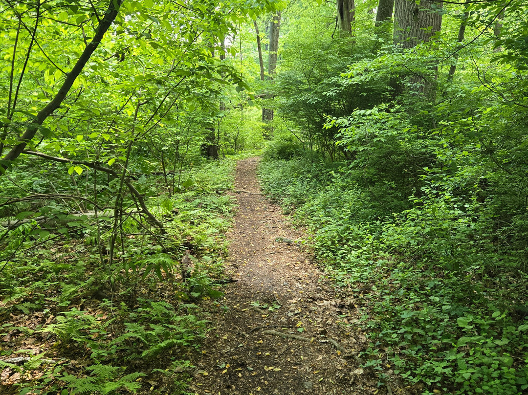 Ward Acres Park