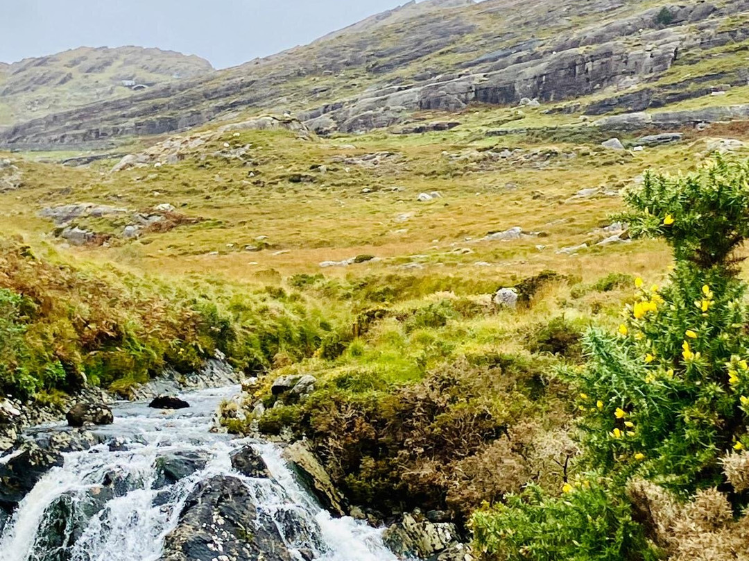 Healy Pass-Adrigole必去景点