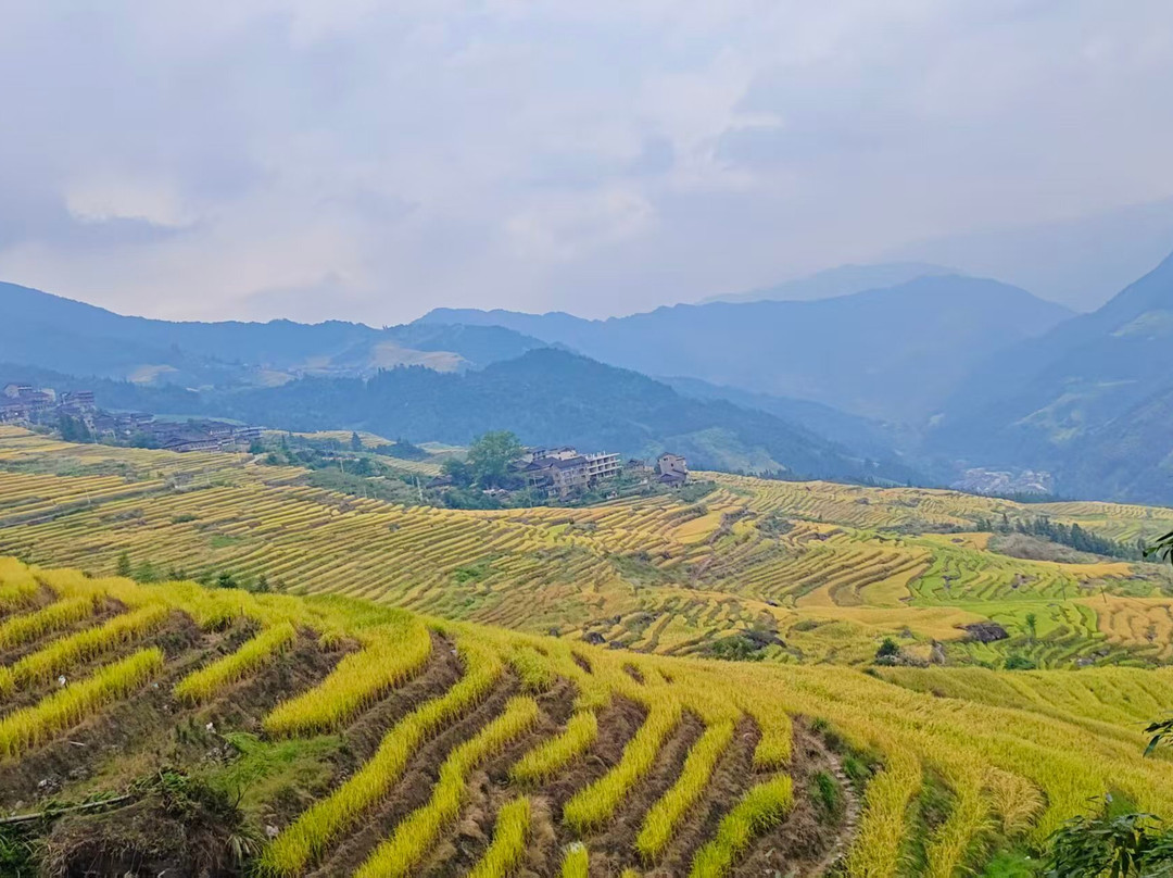 Guilin PrivateTours-桂林市必去景点