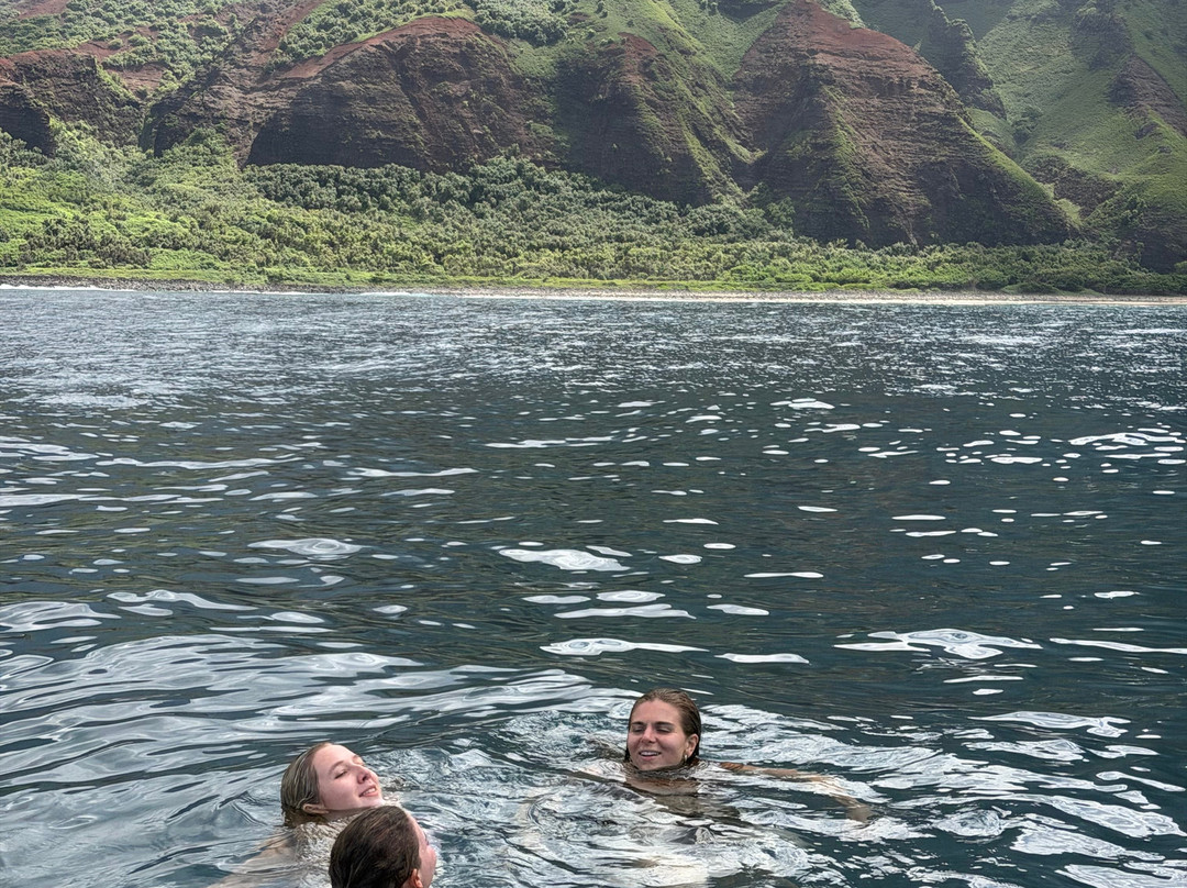 Captain Andy's Napali Cruises-埃里埃利必去景点