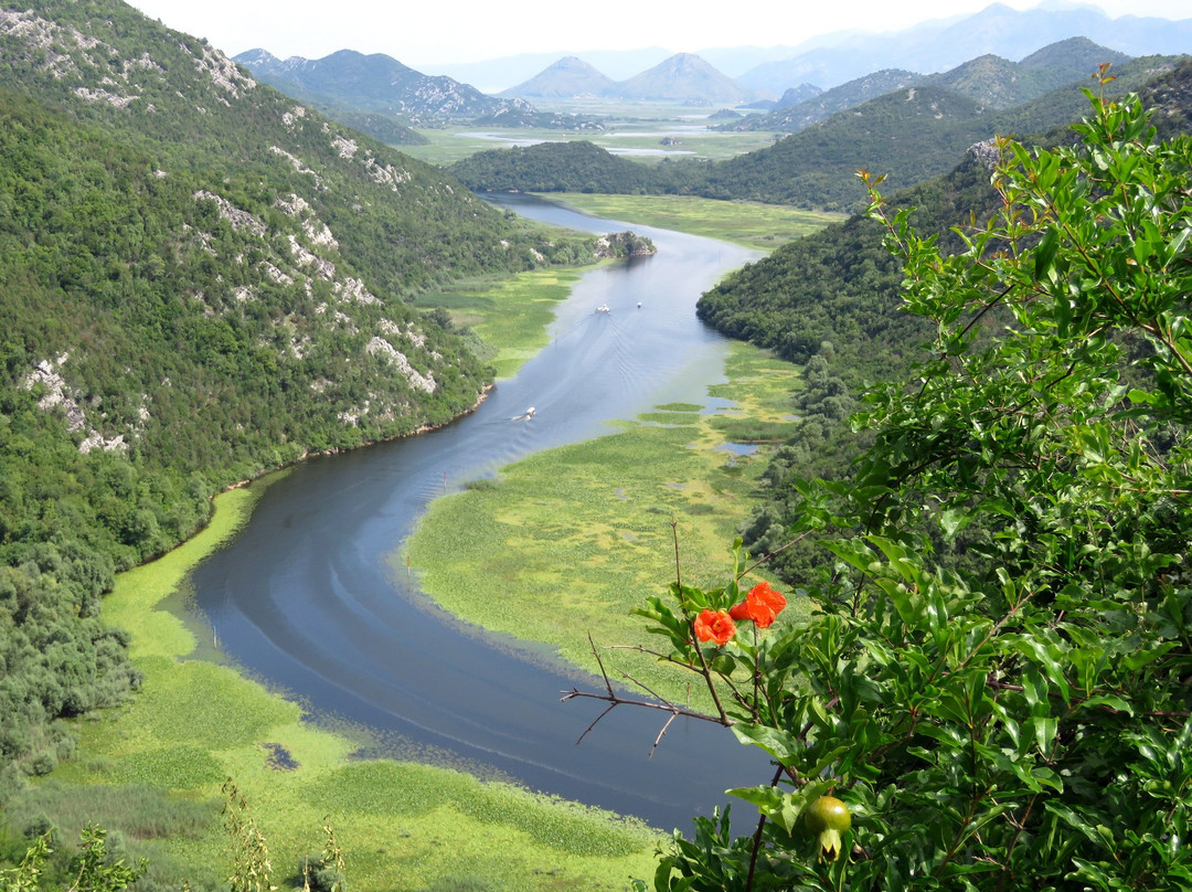 Rijeka Crnojevica旅游攻略图片