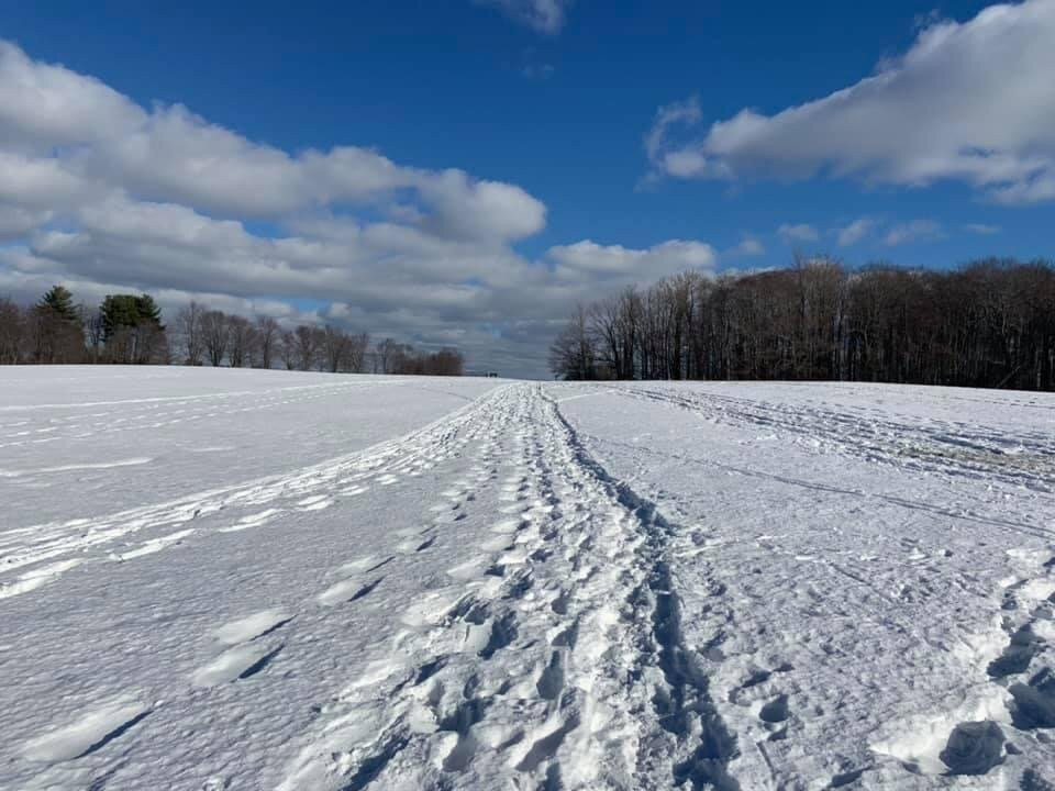 Knox Farm State Park景点图片