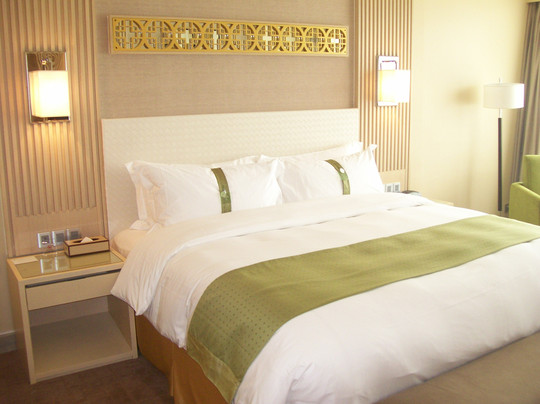 大同市酒店住宿-大同贵宾楼假日酒店