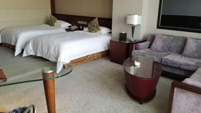 博奥大酒店-客卧