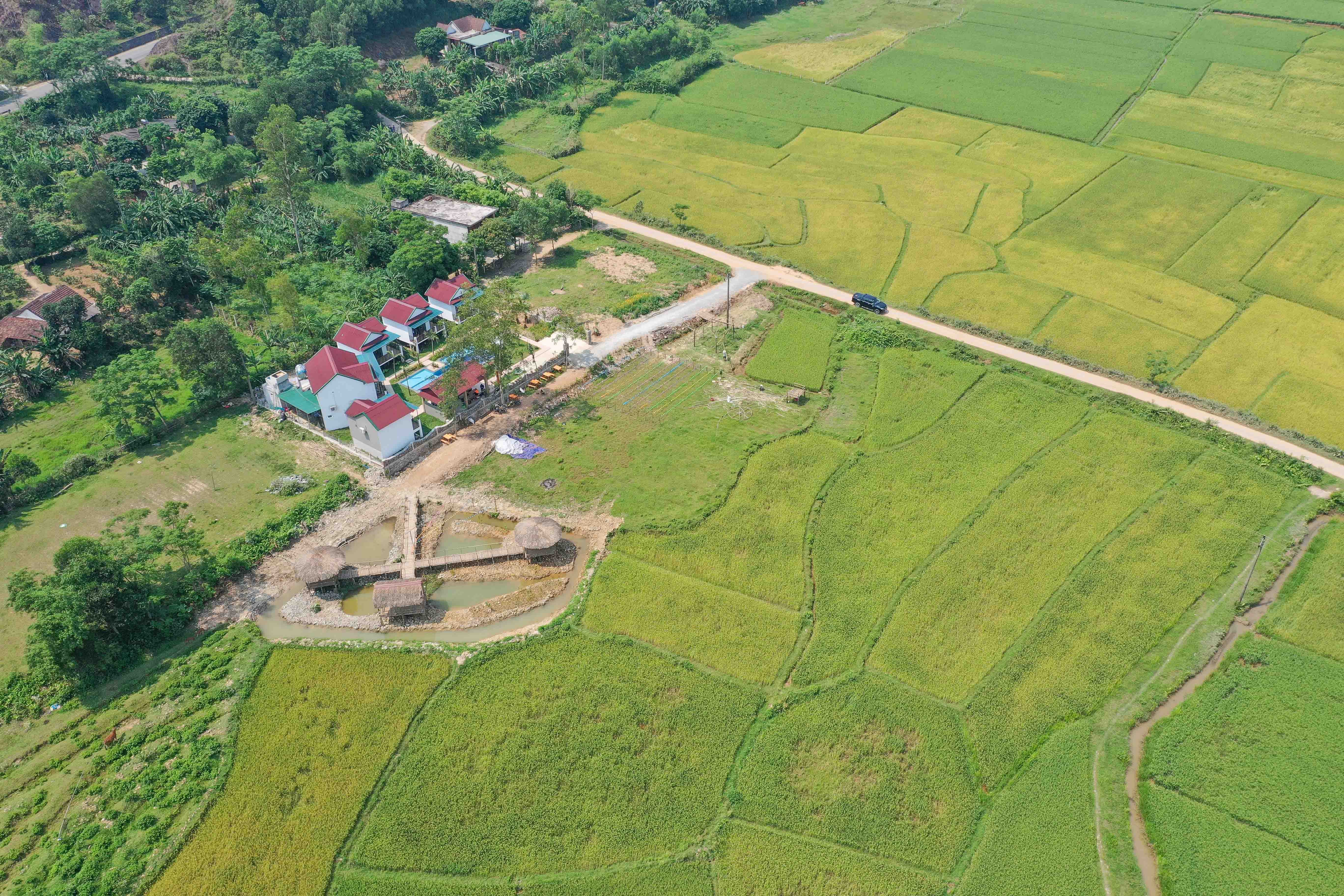 Phong Nha Palafita Bungalow-官方
