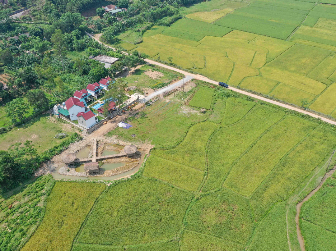 Quang Phu旅游攻略图片