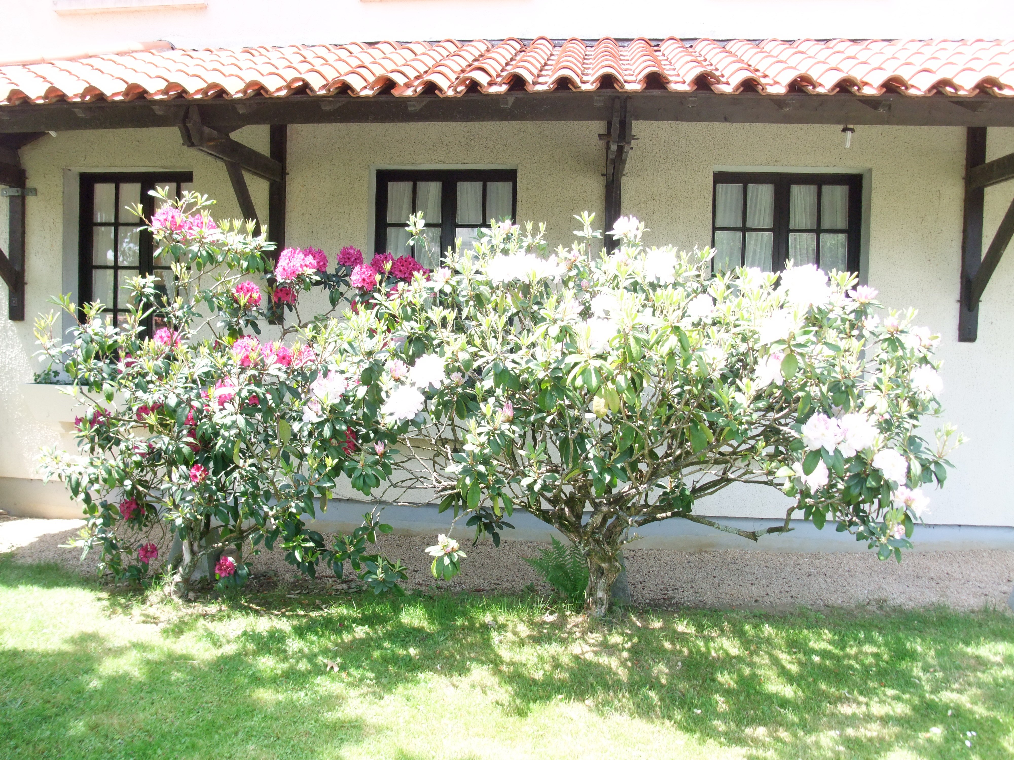 Hotel Des Biches-官方