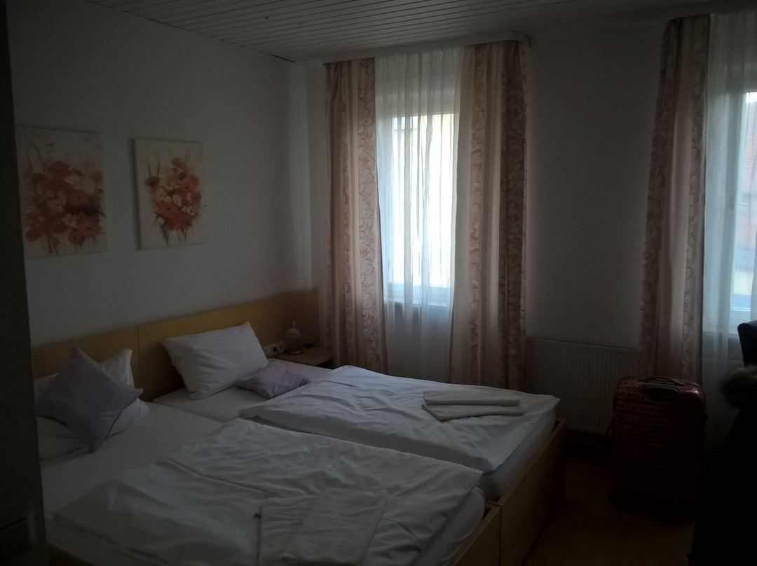 Vaihingen an der Enz旅游攻略图片