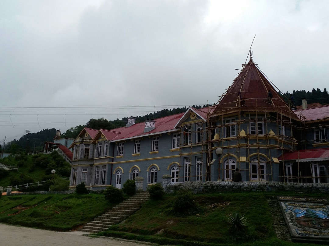 Makai Bari Tea Garden旅游攻略图片