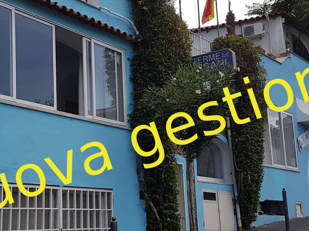 Ischia Porto酒店住宿-Hotel Antonella
