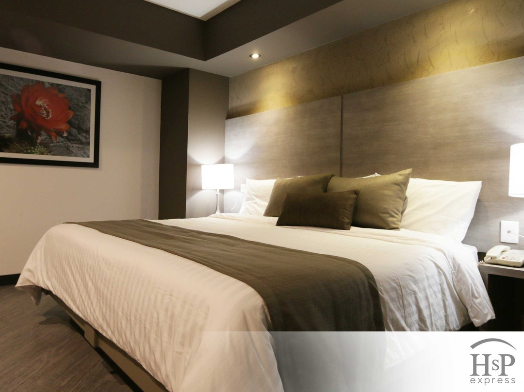 Galeana酒店住宿-Hotel San Pedro Express