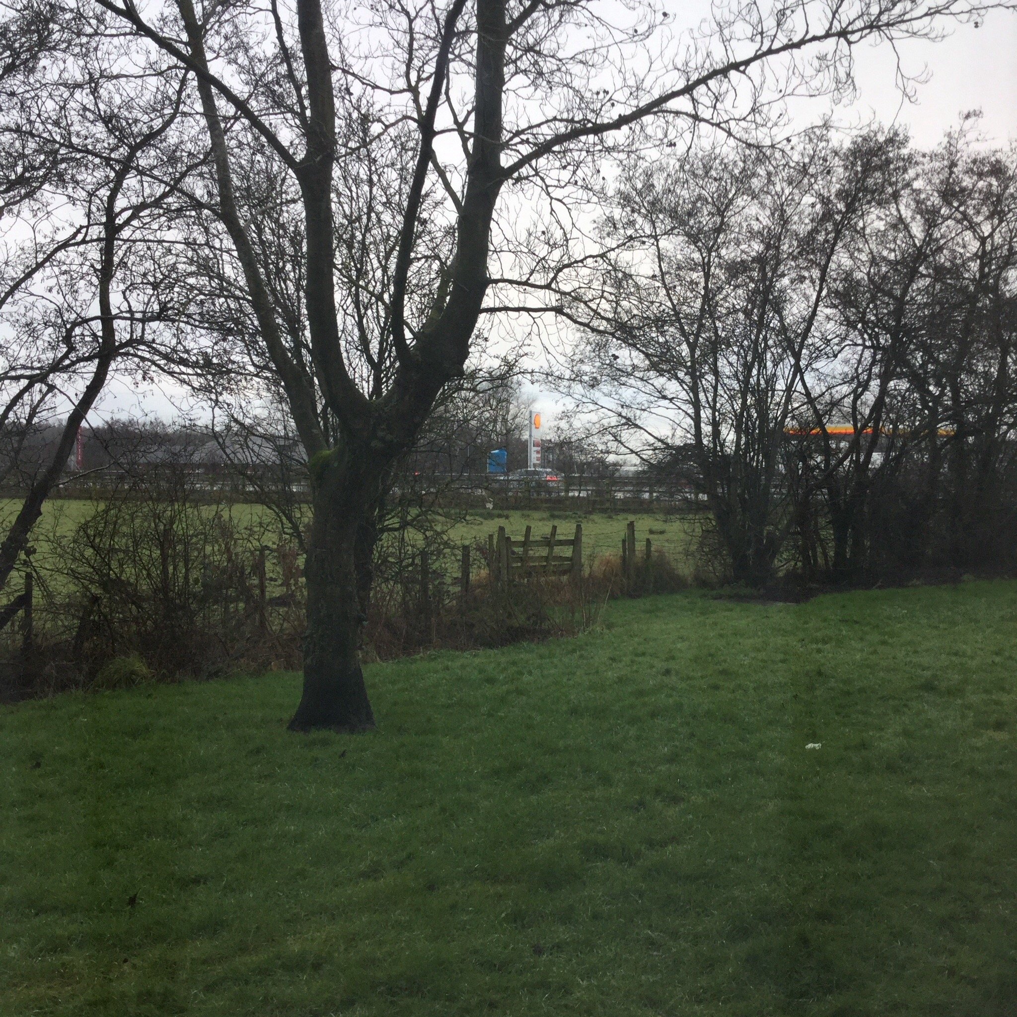 Travelodge Carlisle Todhills-官方