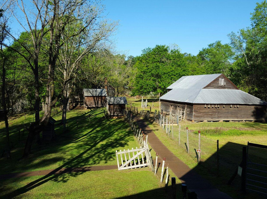 Gray旅游景点-Jarrell Plantation Historic Site