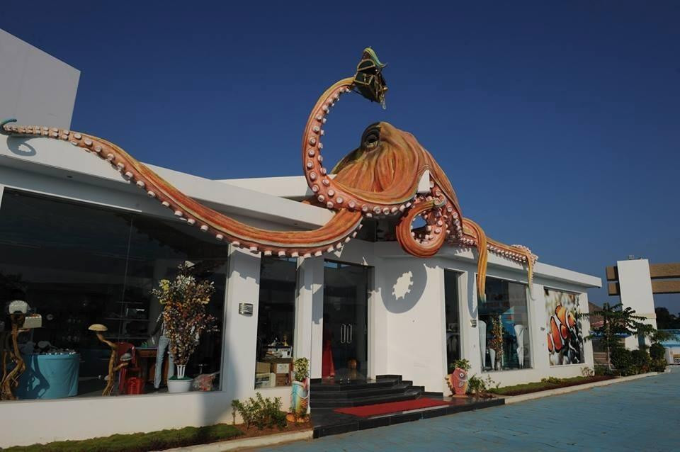 India Seashell Museum景点图片