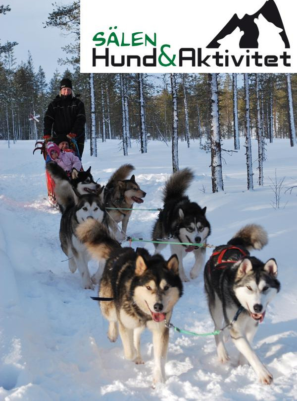 Salen Hund & Aktivitet - Day Tours景点图片