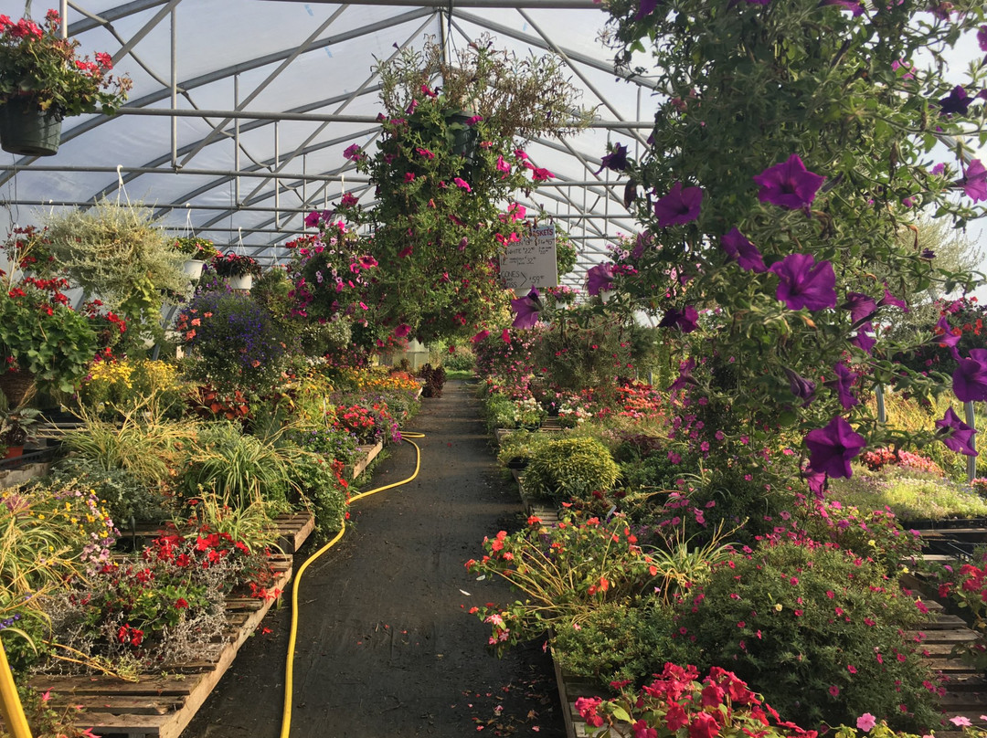 Dutton Farm Stand-曼彻斯特必去景点