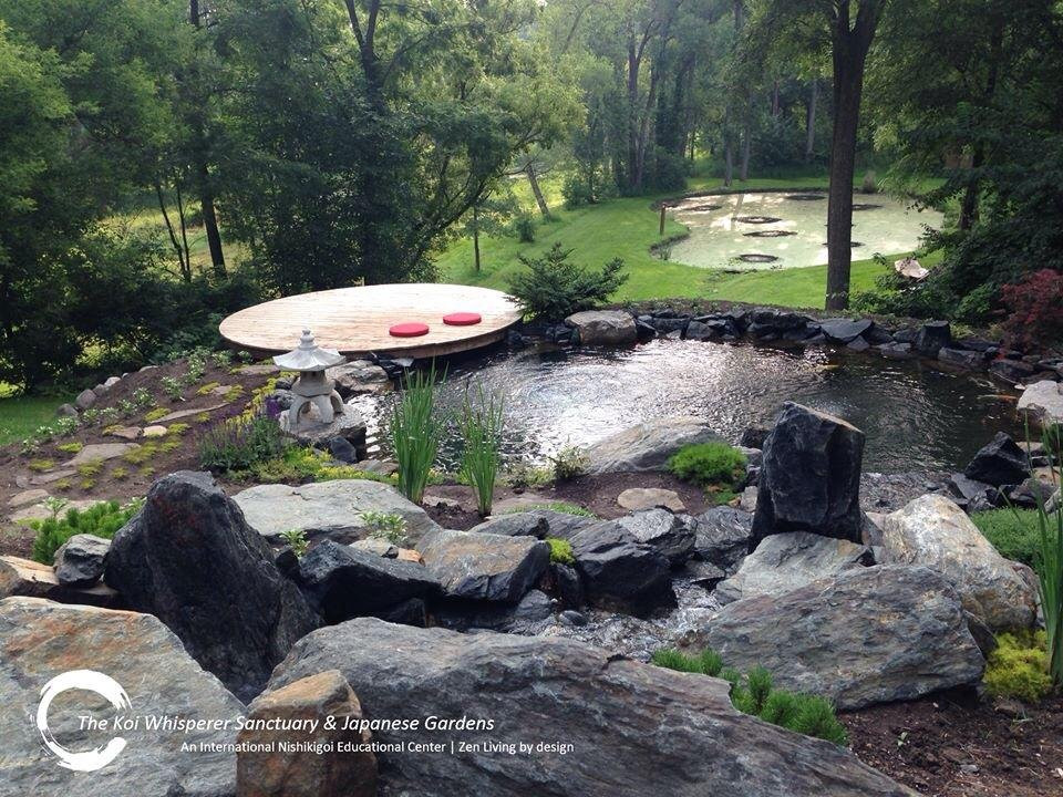 The Koi Whisperer Sanctuary & Japanese Gardens景点图片