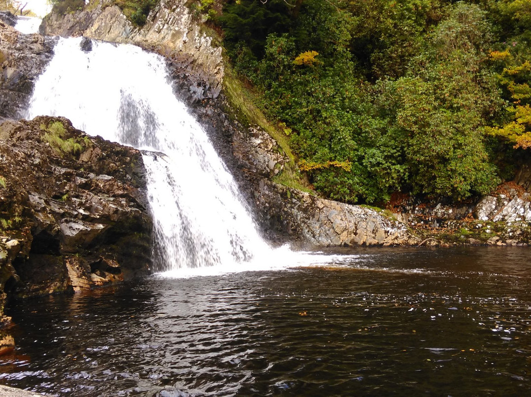 Coed y Brenin Forest Park景点图片