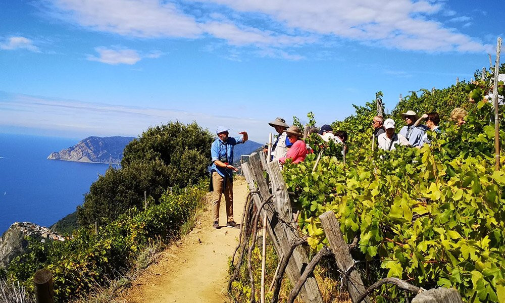 CTTours - Cinque Terre Private Tours and Shore Excursions景点图片