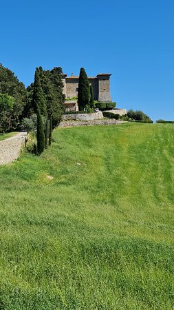 Castello di Montepò景点图片