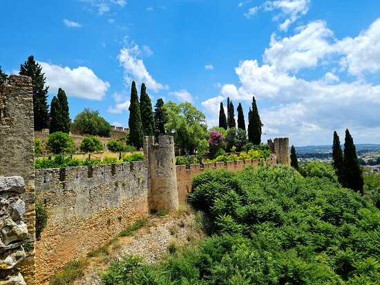 Castelo de Tomar景点图片