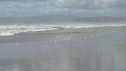 Rio Del Mar State Beach-阿普托斯必去景点
