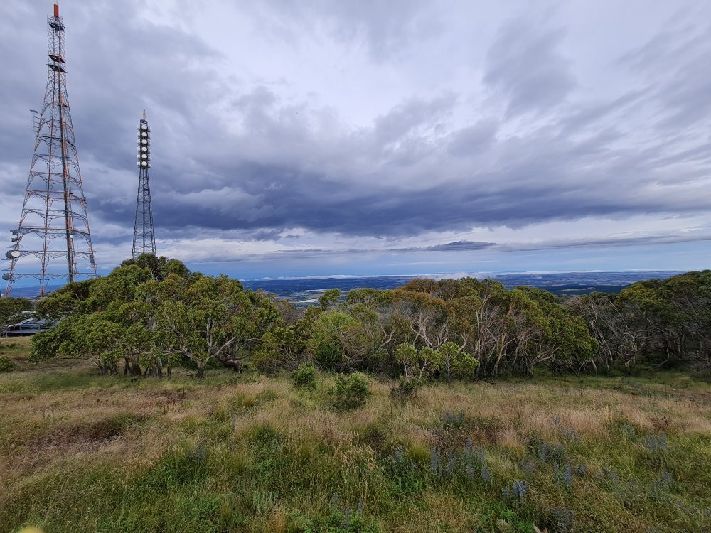 Mount Canobolas State Conservation Area景点图片