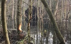 Hoge Kempen National Park-Limburg Province必去景点