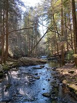 South Cumberland State Park景点图片